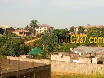 Terrain à vendre à Logpom, Douala