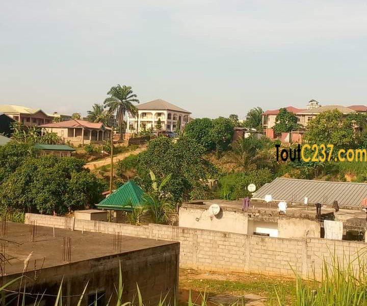 Terrain à vendre à Logpom, Douala