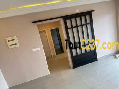 Appartement à louer à Bonapriso Douala
