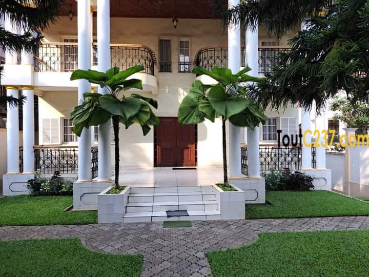 Maison en Triplex à vendre à Bonanjo