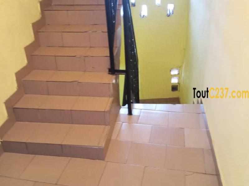 Appartement à louer a Bali Douala