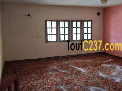 Boutique avec mezzanine à Bonamoussadi