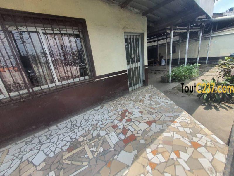 Maison commercial à louer Bonamoussadi