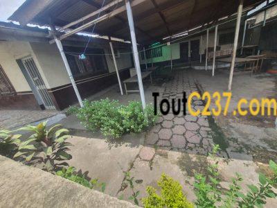 Maison commercial à louer Bonamoussadi