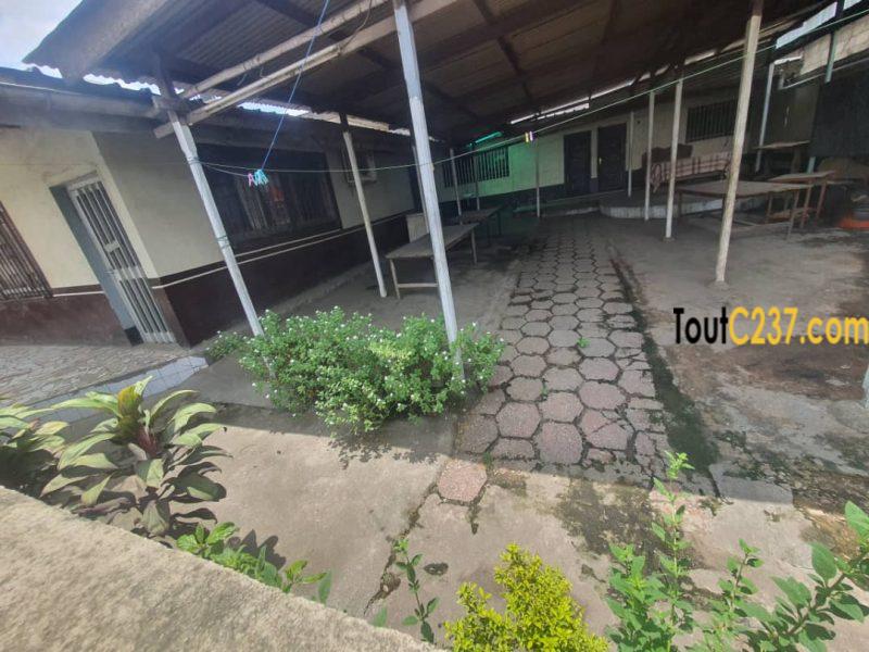 Maison commercial à louer Bonamoussadi