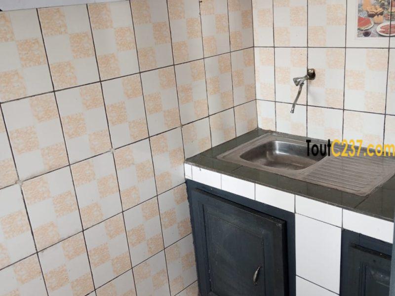 Appartement à louer a Bonapriso Douala
