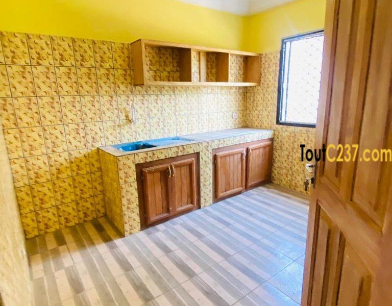 Appartement à louer à Kotto Douala