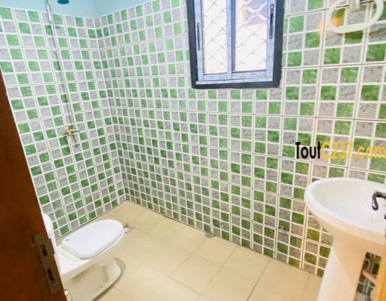 Appartement à louer à Kotto Douala