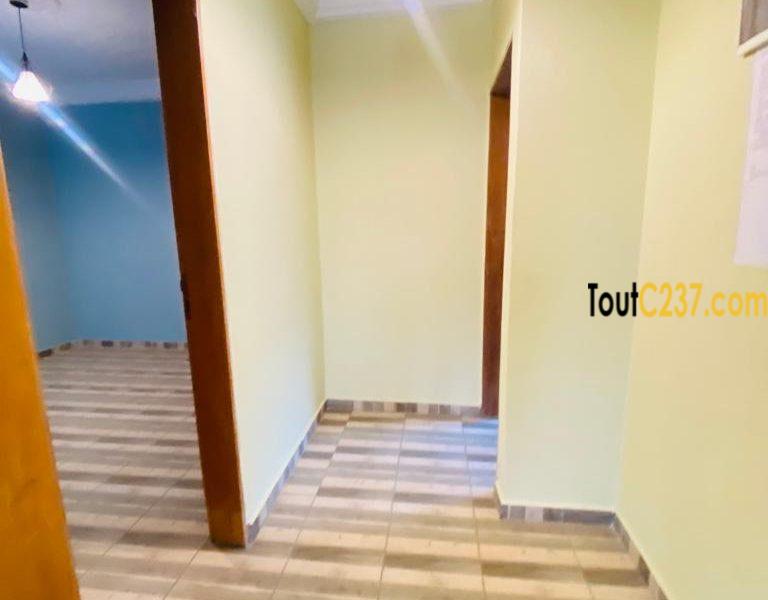 Appartement à louer à Kotto Douala