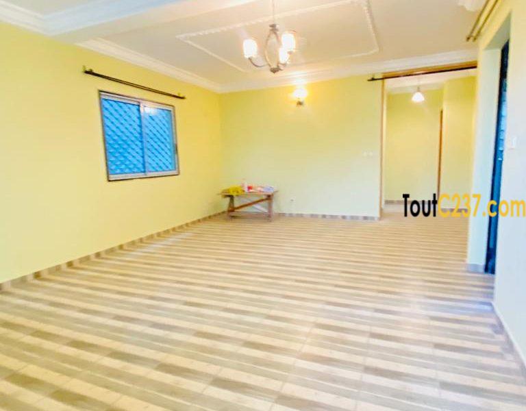 Appartement à louer à Kotto Douala