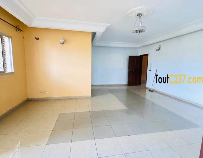 Appartement à louer à Bonamoussadi