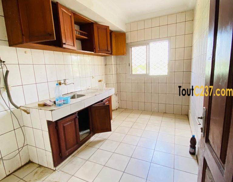 Appartement à louer à Bonamoussadi