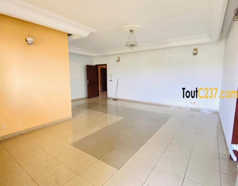 Appartement à louer à Bonamoussadi