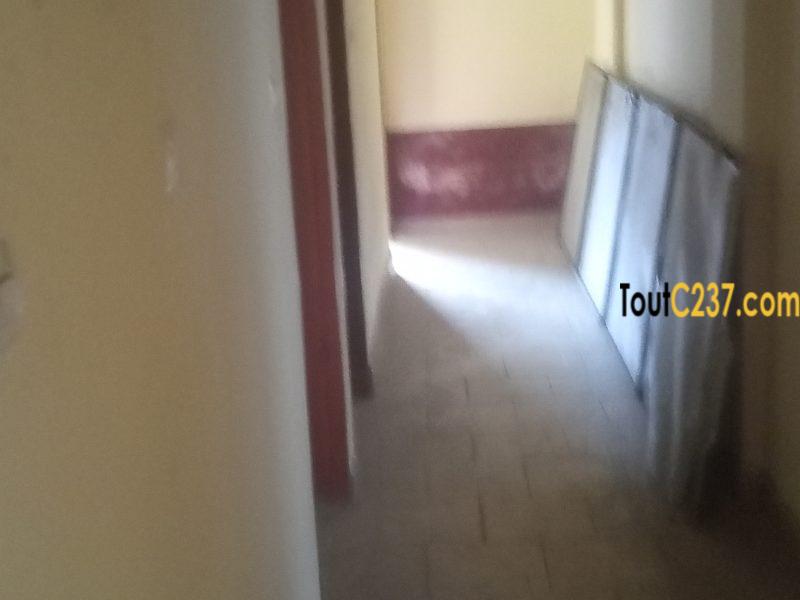 Bureaux à louer à Akwa, Douala