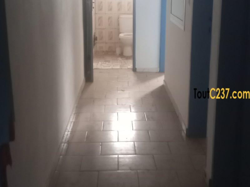 Bureau à louer à Akwa, Douala