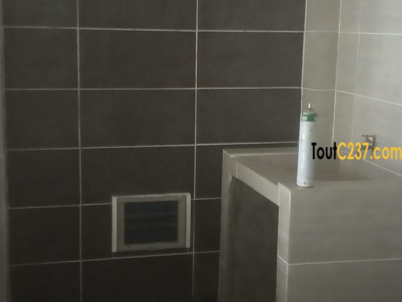 Appartement neuf à louer à Deido, Douala