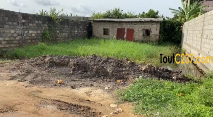 Terrain a vendre a Bonamoussadi Senver