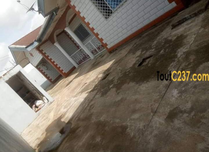 Maison à louer à Bonamoussadi