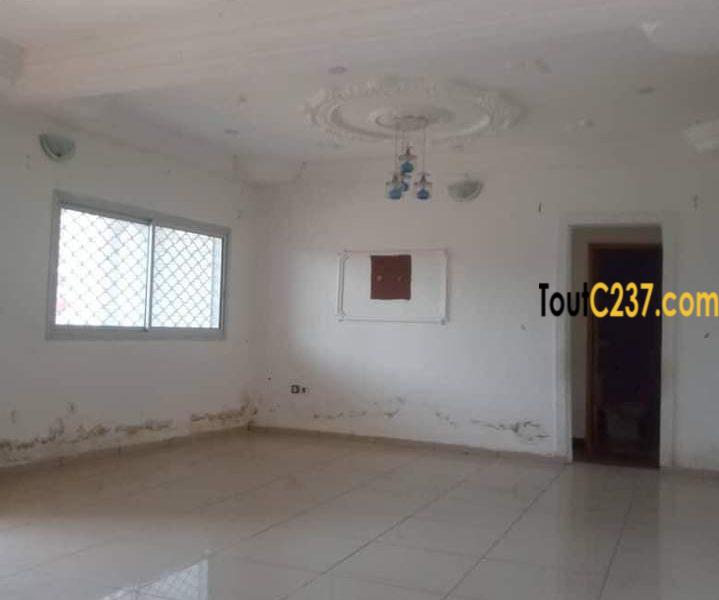 Maison à louer à Bonamoussadi