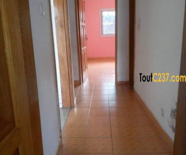 Maison à louer à Bonamoussadi