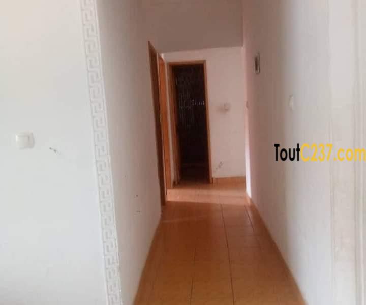 Maison à louer à Bonamoussadi