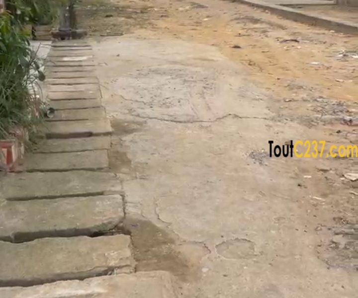 Terrain à vendre à Kotto, Douala