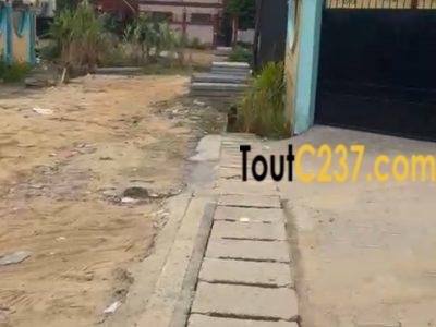 Terrain à vendre à Kotto, Douala