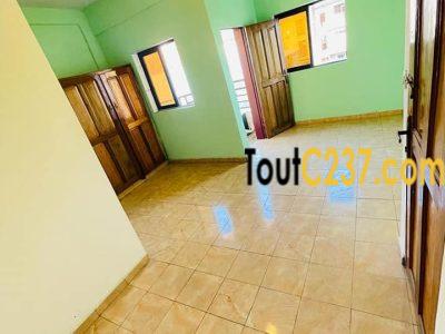 Studio moderne à louer a Bonamoussadi