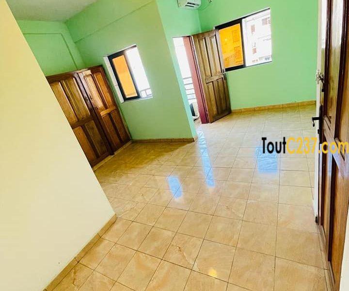 Studio moderne à louer a Bonamoussadi