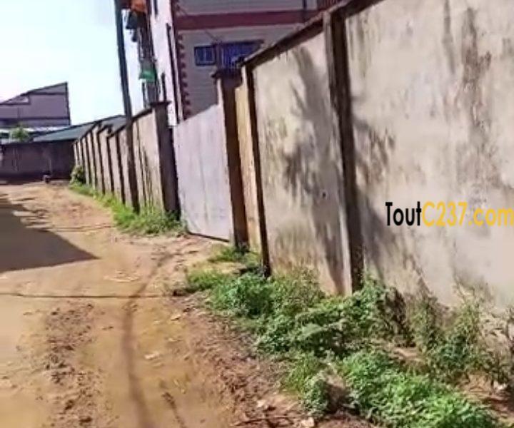 Terrain à vendre à Pk11, Douala