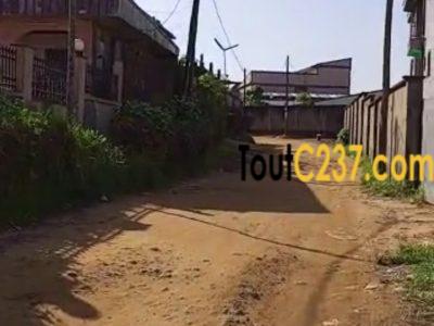 Terrain à vendre à Pk11, Douala