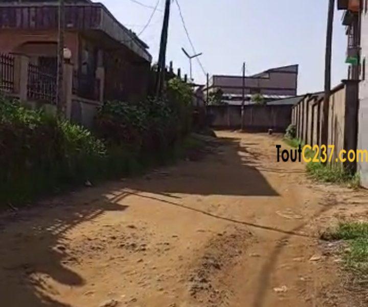 Terrain à vendre à Pk11, Douala