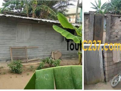 Terrain à vendre à Pk12, Douala