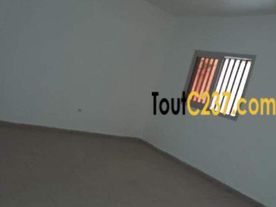 Appartement à louer à Bonamoussadi