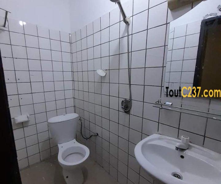 Appartement à louer à Bonamoussadi