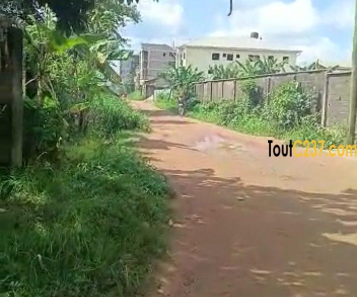 Magnifique Terrain à vendre à Logbessou