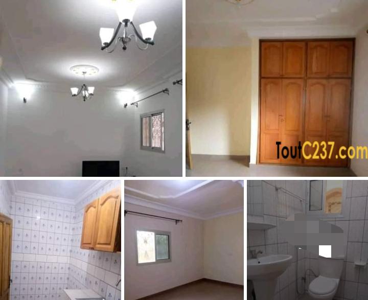 Appartement à louer à Bonamoussadi