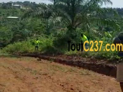 Terrain à vendre à Pk19, (Dla3,e)