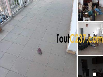 Vaste Appartement à louer à Bonapriso