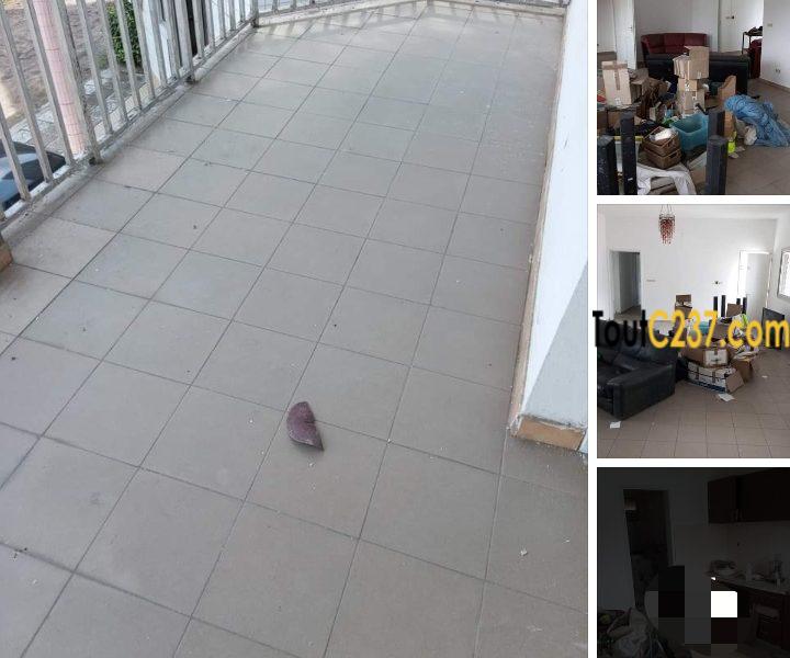 Vaste Appartement à louer à Bonapriso