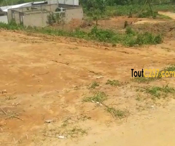 Terrain à vendre à Pk19 (Ngoma)