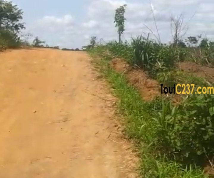 Terrain à vendre à Pk19 (Ngoma)