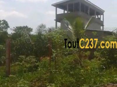 Terrain à vendre à Pk19 (Ngoma)