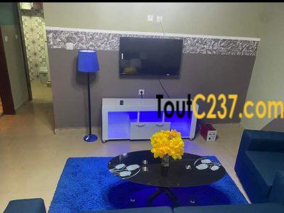 Studio meublé à louer à Bonamoussadi