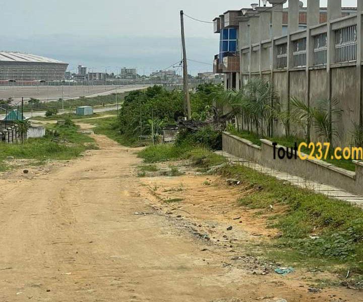 Hectares de terrains à vendre à Japoma