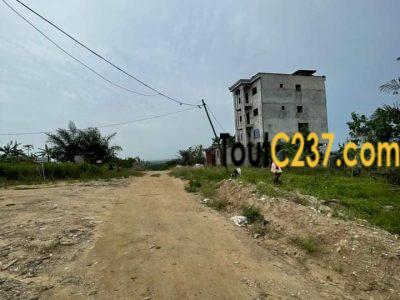 Hectares de terrains à vendre à Japoma