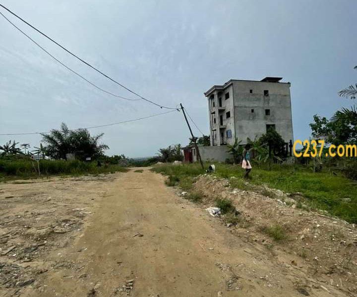 Hectares de terrains à vendre à Japoma