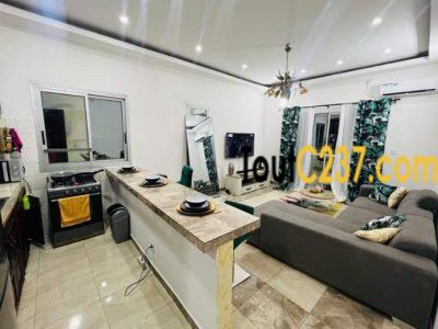 Studio meublé à louer à Bonamoussadi