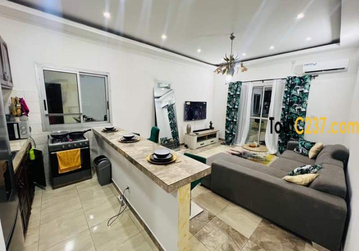Studio meublé à louer à Bonamoussadi