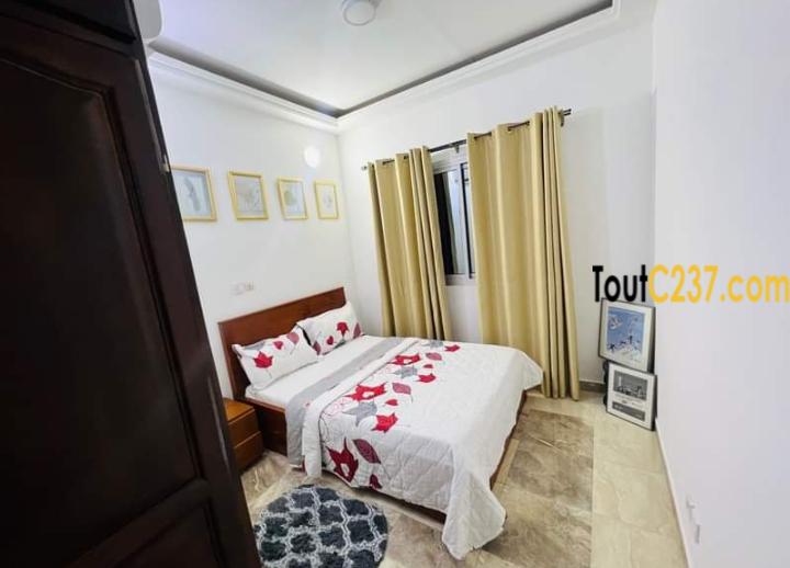 Studio meublé à louer à Bonamoussadi